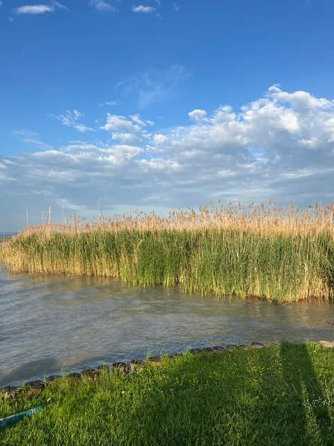 Nyári este a teraszon